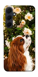 TPU чохол Demsky Flower spaniel для Samsung Galaxy A55