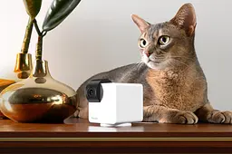 Компактна HD-камера Petcube Cam 360 (P36010US) - мініатюра 6