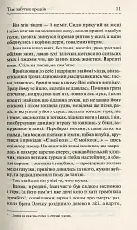 Тіні забутих предків - Михайло Коцюбинський - мініатюра 9