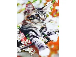Алмазна мозаїка Котик, TK Group (30х20 см)