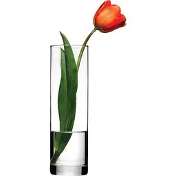 Ваза для квітів Pasabahce Botanica (43767) - мініатюра 2