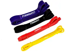 Гумові петлі EasyFit: набір 1-45 кг (4 шт) (EF-1454s) - мініатюра 1