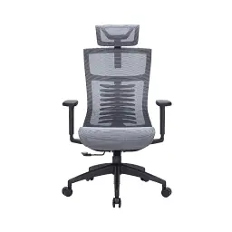 Офісне крісло OfficePro Balance OC620-B-DG-DG (OC620-B-DG-DG)