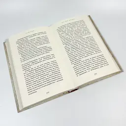Вогонь доккебі - Лі Йондо | BookChef, книга українською, нова, тверда - мініатюра 3