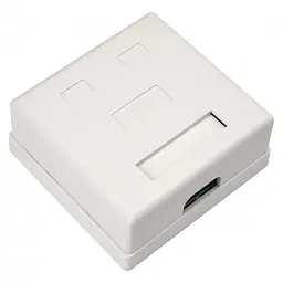 Комп'ютерна розетка RJ45x2 UTP cat.5e 8P8C Vinga (VCPRJ45O2) - мініатюра 2