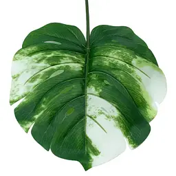 Штучне листя Engard Monstera Alba 78 см (TW-55) - мініатюра 4