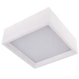 Світильник настінно-стельовий світлодіодний накладний Brille WBL-22/20W WW WH