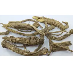Любисток Корінь Levisticum officinale