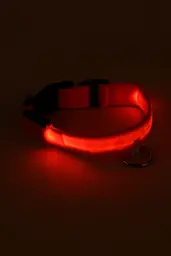 Led нашийник для собак на батарейках, розмір L 45-52 см, 2,5см ДМР1932 Помаранчевий (2000989398349A) shop (2000989398349) - мініатюра 3