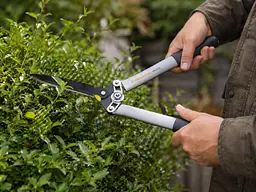 Набір Fiskars: Ножиці для кущів Fiskars White HS53 + Гілкоріз білий White L32 - мініатюра 3