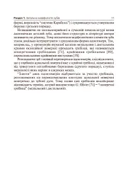 Основи клінічної морфології зубів - мініатюра 12
