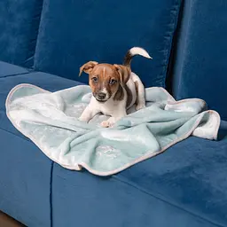 Плед Pet Fashion Bliss 2, 77x100 см, м'ятний - мініатюра 6