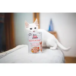 Вологий корм для котів Brit Care Cat pouch 85g (філе індички та лосося в соусі) - мініатюра 5