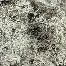 100 г уснея/мох-бородач лишайник сушений - свіжий урожай