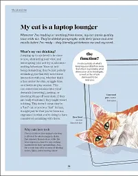 What's My Cat Thinking? Understand Your Cat to Give Them a Happy Life - мініатюра 11