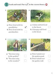 Ladybird Readers 4 Peter and the Wolf Activity Book - мініатюра 3