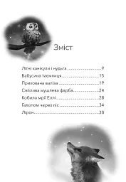 Дивогривка. Пробудження кінської магії. Книга 1 - Яна Гох - мініатюра 2