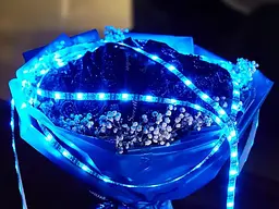 Світлодіодна стрічка Hoco DL30 RGB 4м + пульт (Чорна) - мініатюра 6