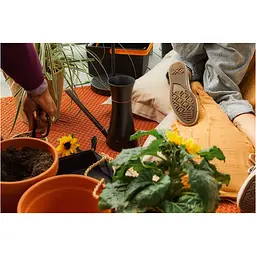 Лійка для поливу кімнатних рослин Fiskars 1.2 л (1071307) - мініатюра 5