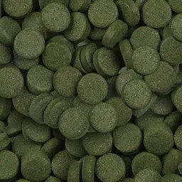 Корм для донних риб Sera Spirulina Tabs зі спіруліною 24 таблетки 00920 - мініатюра 2