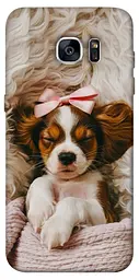 TPU чохол Demsky Sleepy spaniel для Samsung G935F Galaxy S7 Edge