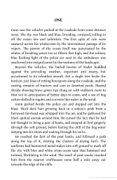 The Lewis Man. Book 2 - Пітер Мей - мініатюра 3