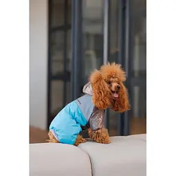 Комбінезон Pet Fashion Сharlie ХS2 для собак - мініатюра 4