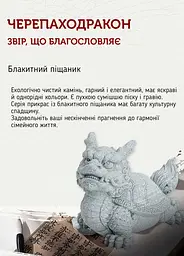 Драконочерепаха DH-F001