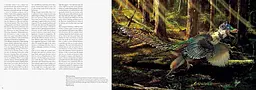 The Art Of The Dinosaur - мініатюра 3
