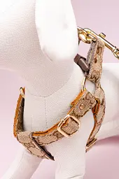 Комплект шлейка + повідець 1.5м в стилі Gucci (Бежевий) (Бежевий) S - мініатюра 3