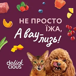 Вологий корм для котів Delickcious Смужки з качкою та гарбузом в крем супі 85 г - мініатюра 9