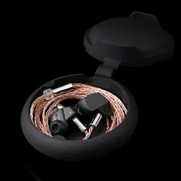Навушники Final Audio A6000 Black (90403798) - мініатюра 5