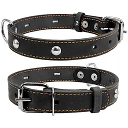 Нашийник для собак Collar одинарний з прикрасою (4820082491796)