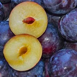 Саджанець Agro-Market Слива Блек Амбер (39967) 1 шт. в упаковці - мініатюра 2
