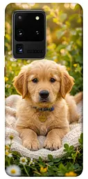 TPU чохол Demsky Small labradore для Samsung Galaxy S20 Ultra