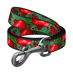 Повідець для собак WAUDOG Nylon "Гранати" L-XXL (342-4052)