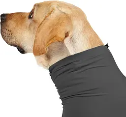 Комбінезон для відновлення собак Derby Pet Recovery Suit, Black, 2XL - мініатюра 4