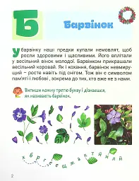 Класна абетка. Народні символи - мініатюра 3