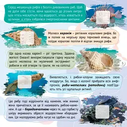 100 цікавинок. Моря, океани та їхні мешканці - Катерина Шаповалова - мініатюра 3