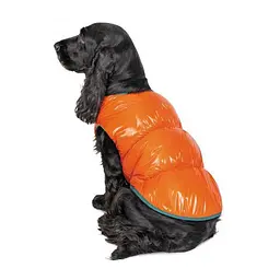 Жилет Pet Fashion Spring для собак, розмір XS2, помаранчевий - мініатюра 2
