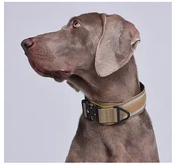 Нашийник для собак Woofy, нейлоновий з металевою пряжкою-фастекс, світловідбиваючий, коричневий, XL
