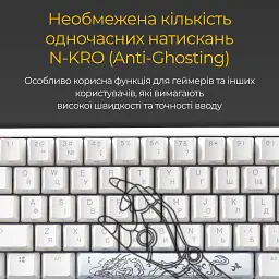 Клавіатура Ducky One 3 Mini Cherry MX Brown RGB White (DKON2161ST-BUAPXPWWWSC1) UA [125718] - мініатюра 12