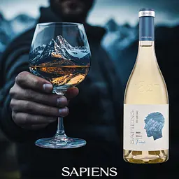 Вино Purcari Sapiens Sauvignon Blanc Fume біле сухе 12% 0.75 л - мініатюра 2