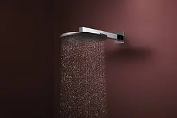 Верхній душ Hansgrohe Raindance Alive S 300 2jet EcoSmart з тримачем chrome 24541000 - мініатюра 2