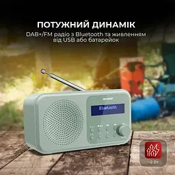 Радіоприймач Sharp DR-P420 Green - мініатюра 4
