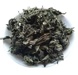 Лопух Листя Репях Репяшник Дідовник Arctium lappa - мініатюра 1