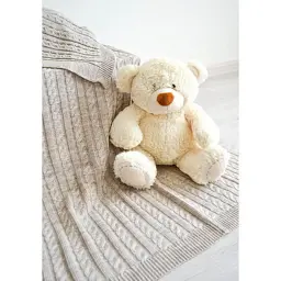 Плед Прованс Soft косы Лате 140x180 см (11690)