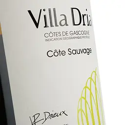 Уцінка. Вино Villa Dria Colombard-Sauvignon Igp Cotes De Gascogne біле сухе 0.75 л (917839) - мініатюра 5