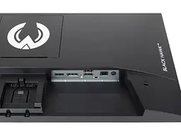 Монітор Iiyama G-Master G2445HSU-B2 - мініатюра 6