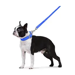 Повідець для собак Dog Extreme з нейлону подвійний Ш 20 мм Д 122 см блакитний (42982) - мініатюра 6
